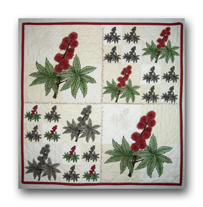 My husband Mike drew me this picture of the Castor Bean with colored pencils. I then scanned his drawing and printed it on fabric in various sizes. I fused the fabric appliqu� and quilted it. This quilt is donated to the University of Michigan. Ricin from the Castor Bean plant is used in chemo therapies.
